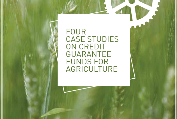 Four Case Studies on Credit Guarantee Funds for Agriculture