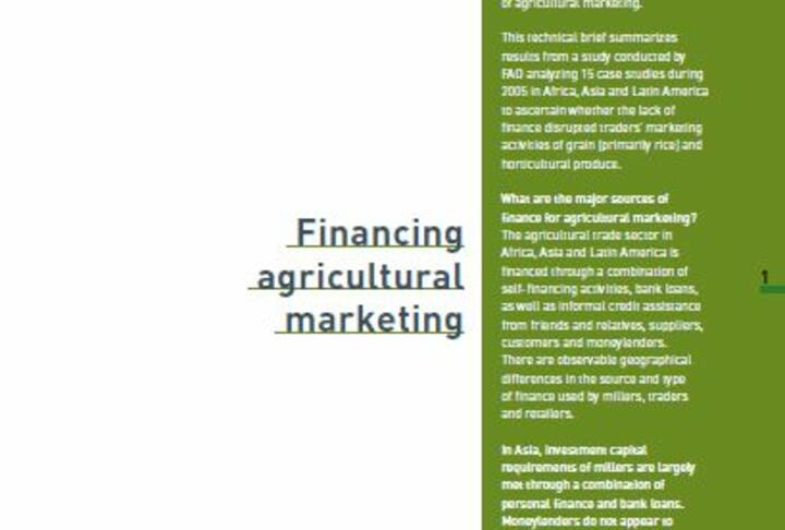 Financing agricultural marketing