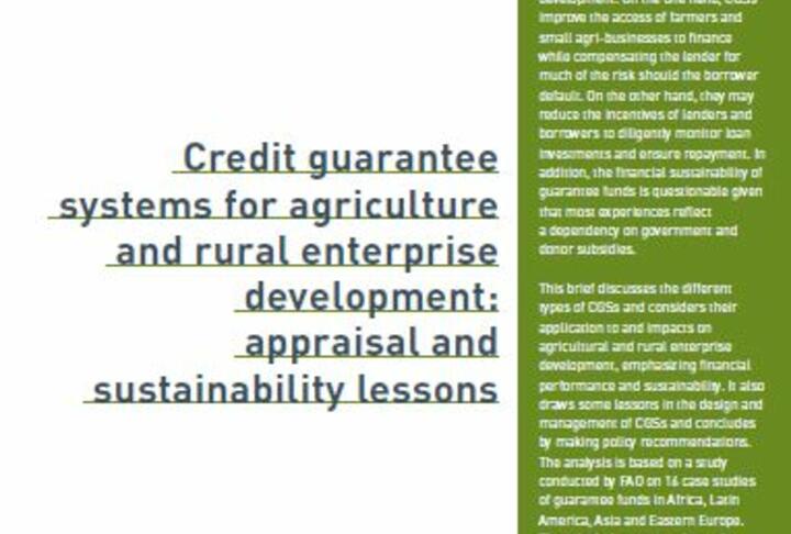 Credit guarantee systems for agriculture and rural enterprise development: appraisal and stability lessons