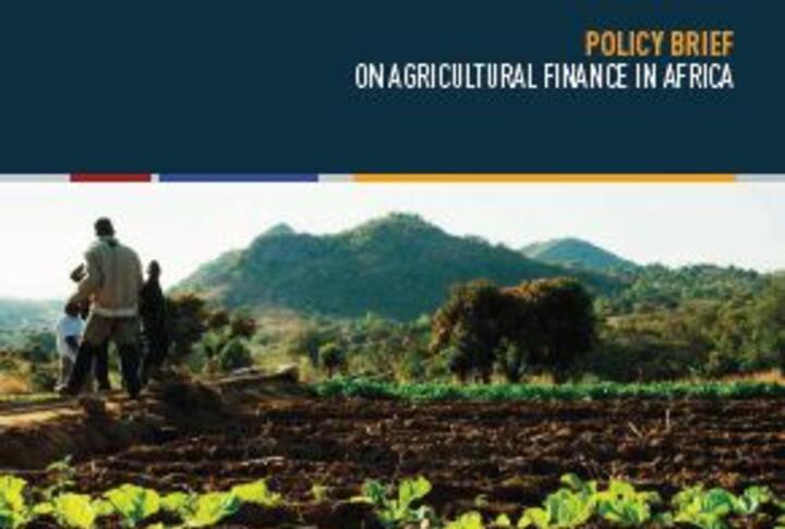 Policy Brief on Agricultural Finance in Africa