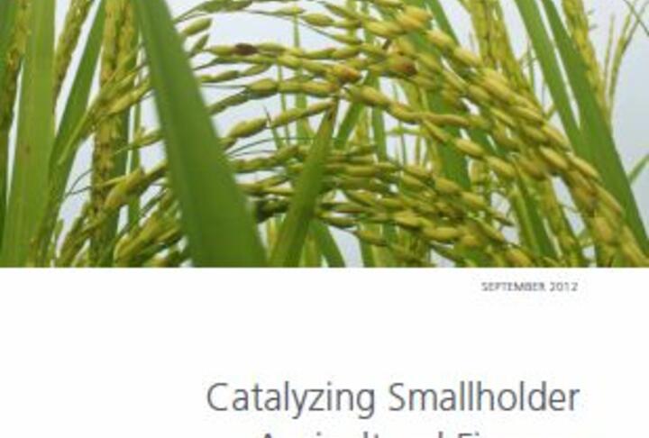 Catalyzing Smallholder Agricultural Finance