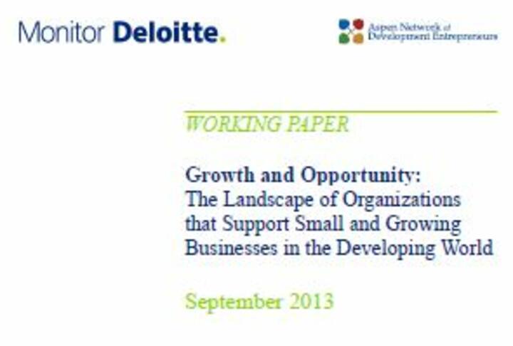 Growth and Opportunity : The Landscape of Organizations that Support Small and Growing Businesses in the Developing World