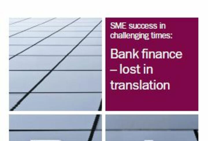 SME access to bank finance in the UK: Lost in translation