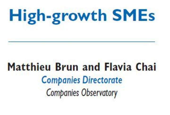 High-growth SMEs in France - Banque de France's article