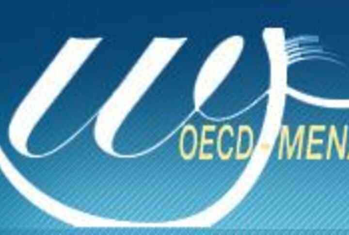 Exploring bank financing for women entrepreneurs in the MENA region: A preliminary analysis of survey data on the financing practices of MENA banks