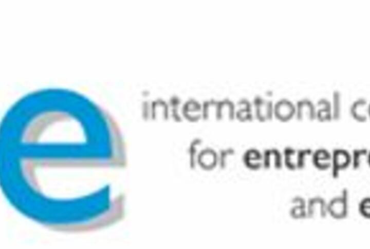 ICE - International Consultants for Entrepreneurship and Enterprise