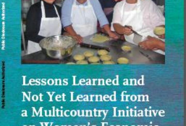 Lessons Learned and Not Yet Learned from a Multicountry Initiative on Women’s Economic Empowerment