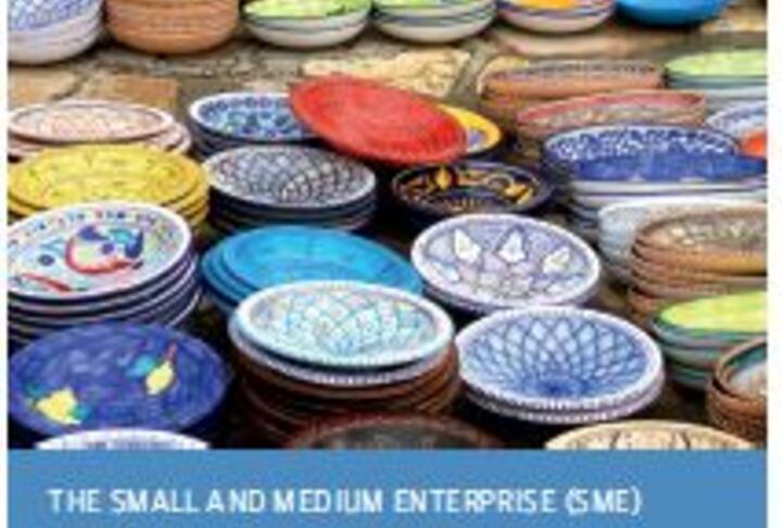 The Small and Medium Enterprise Catalyst for Growth Initiative in South Africa