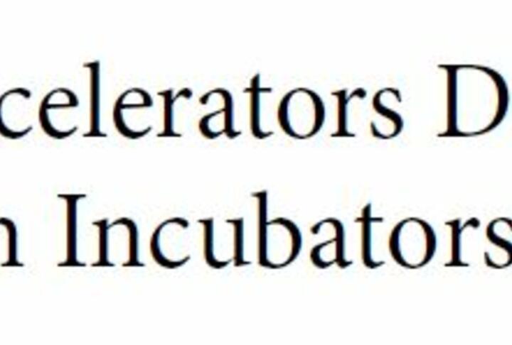 What Do Accelerators Do? Insights from Incubators and Angels