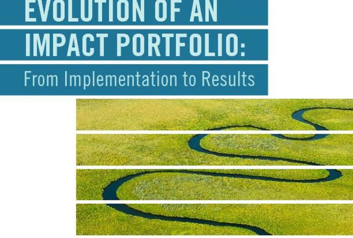 Evolution of an Impact Portfolio: From Implementation to Results 