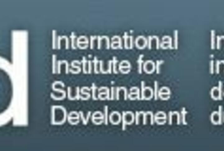 Overcoming Barriers to Scale: Institutional impact investments in low-income and developing countries