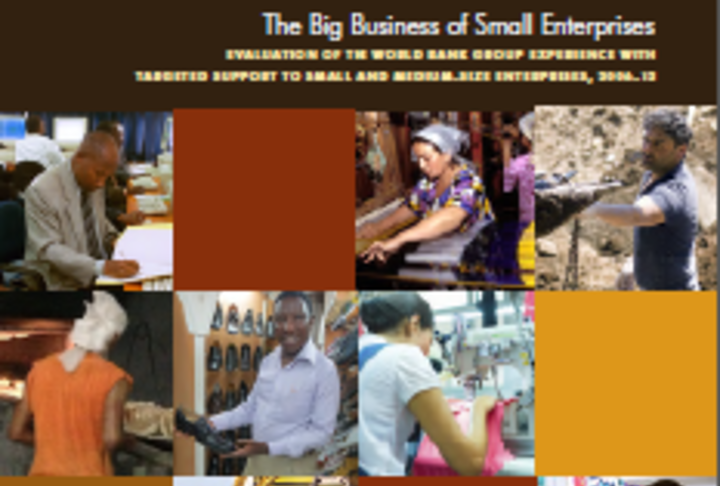 The Big Business of Small Enterprises - Evaluation of the World Bank Group Experience with Targeted Support to SMEs, 2006–12