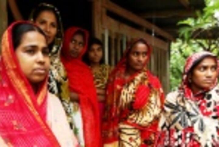 Dynamic Effects of Microcredit in Bangladesh