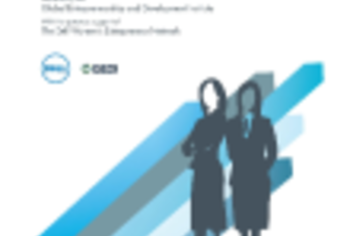 2014 Gender-GEDI Index Executive Report