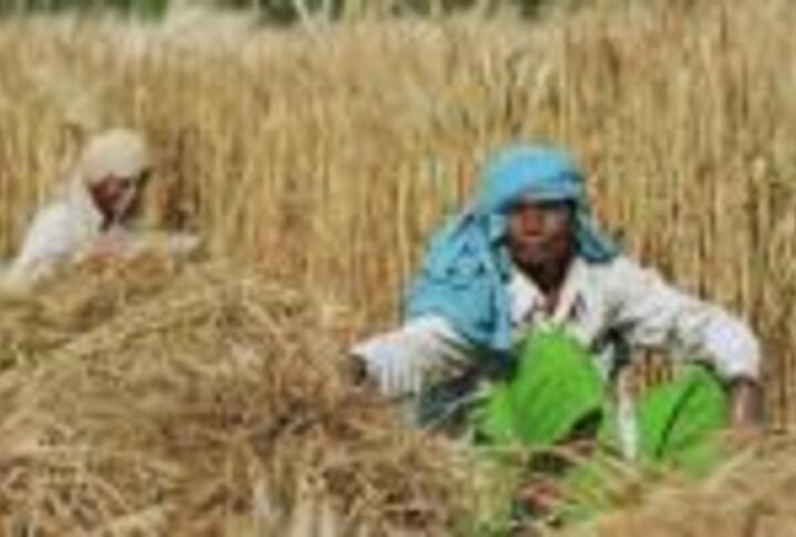 Kenya: Equity Foundation Targets "Missing Middle" with Agri Business Skills 