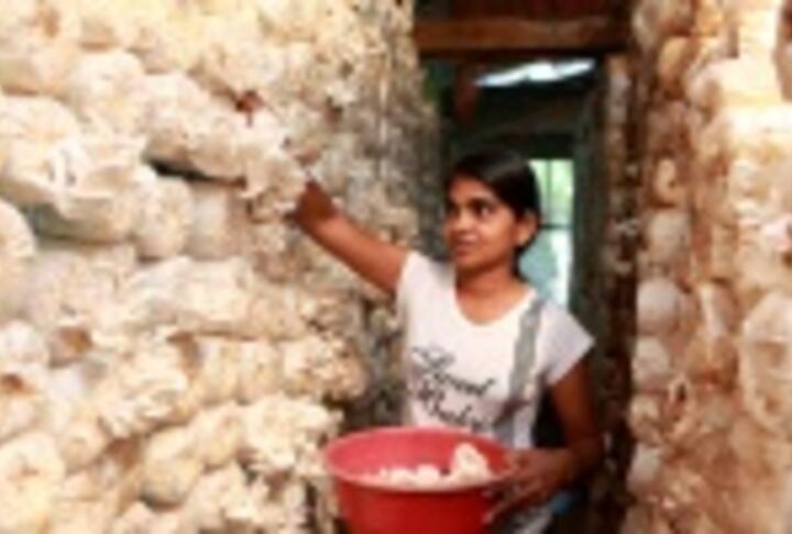 Sri Lanka: Unlocking Potential of Women Entrepreneurs