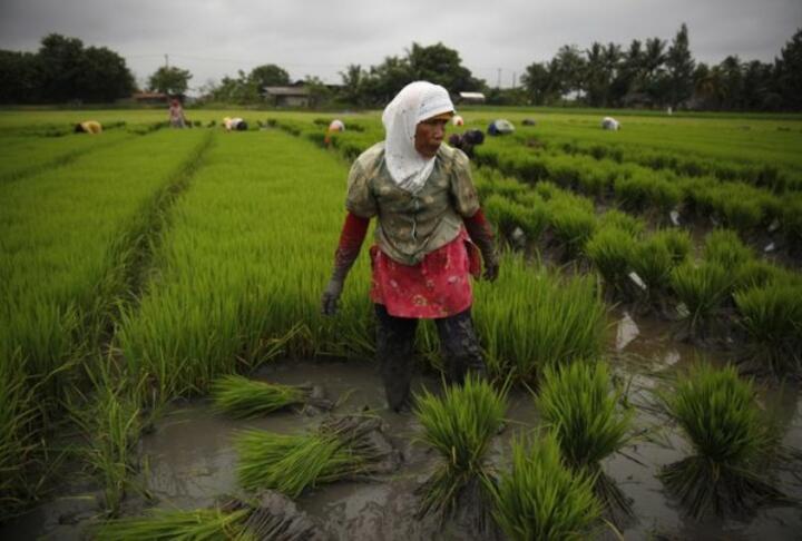 Don’t ignore big climate finance funds, grassroots women activists advised