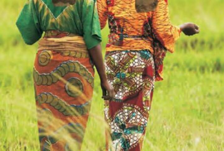 Levelling the field : improving opportunities for women farmers in Africa