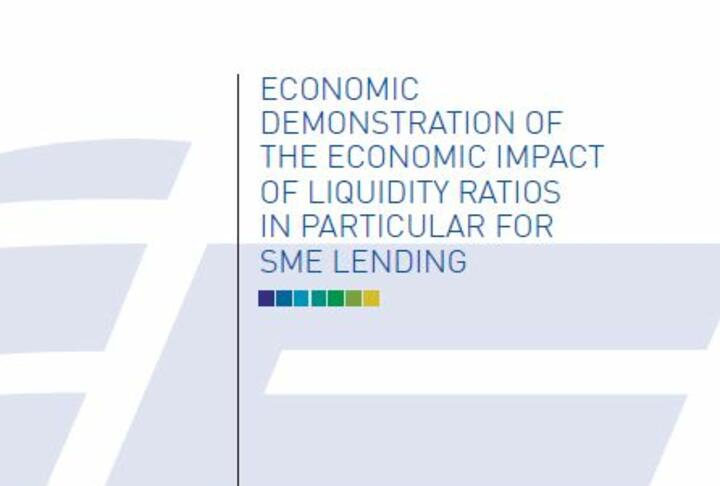 Economic demonstration of the economic impact of liquidity ratios in particular for the SME lending