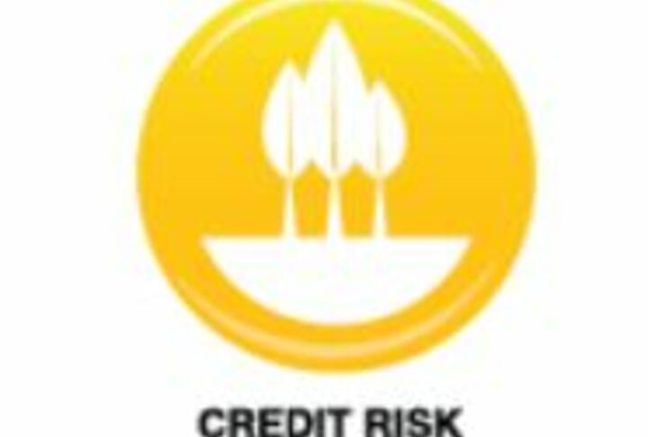 Agricultural Lending Tools:Credit Risk Assessment