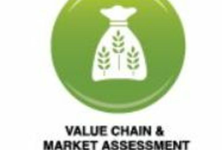 Agricultural Lending Tools: Value Chain and Market Assessment 