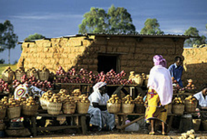 Nigeria: Ecobank Launches SME Club