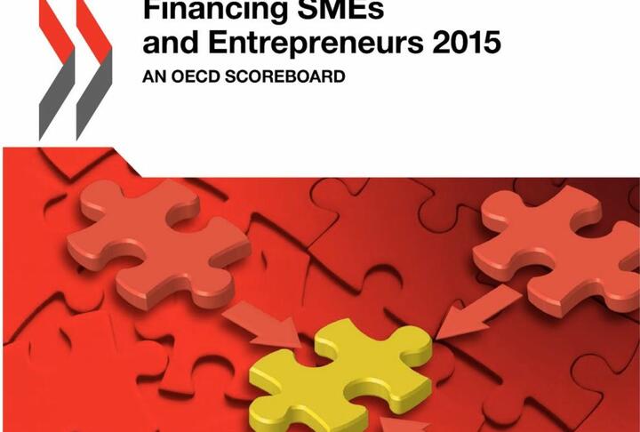 Financing SMEs and Entrepreneurs 2015: An OECD Scoreboard