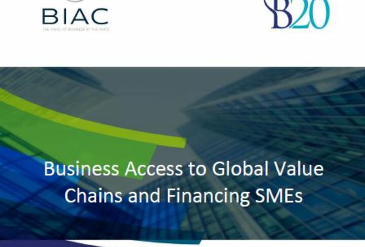 Business Access to Global Value Chains and Financing SMEs - A BIAC-B20 Turkey contribution to the G20 agenda in 2015