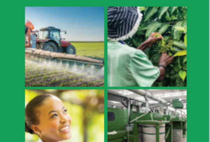 AfDB unveils plan to empower African Women in Agriculture