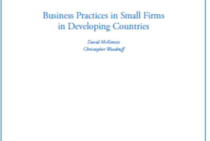 Business practices in small firms in developing countries