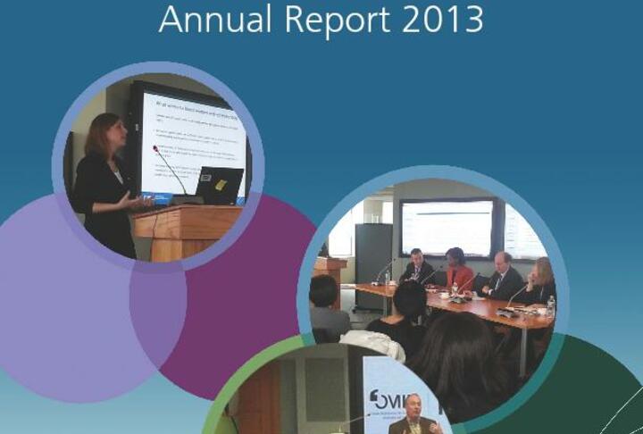 SME Finance Forum - Annual Report 2013