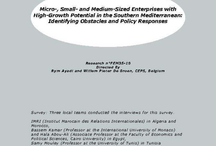 MSMEs with High-Growth Potential in the Southern Mediterranean: Identifying Obstacles and Policy Responses