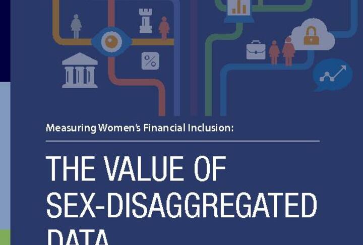 Measuring Women's Financial Inclusion: The Value of Sex-Disaggregated Data
