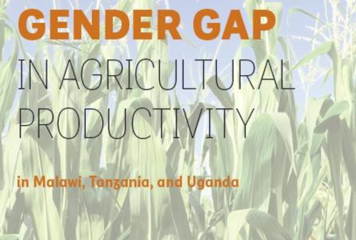 The Cost of the Gender Gap in Agricultural Productivity in Malawi, Tanzania, and Uganda