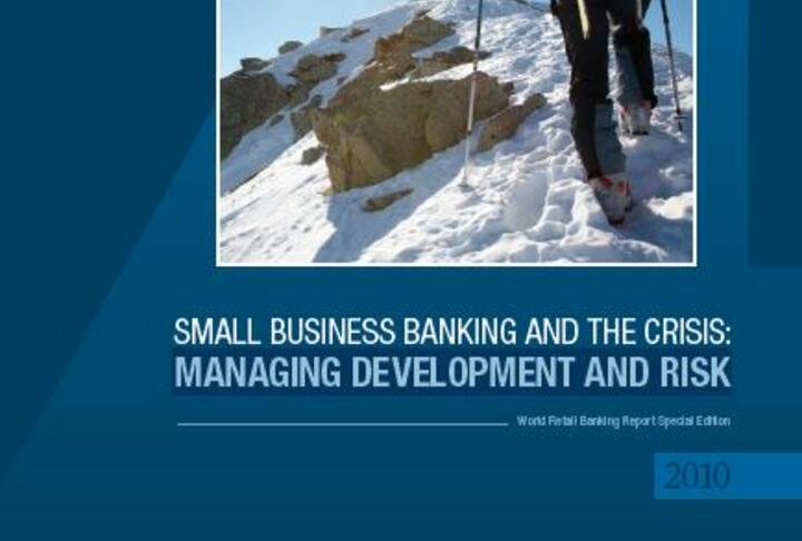 Small Business Banking and the Crisis: Managing development and risk