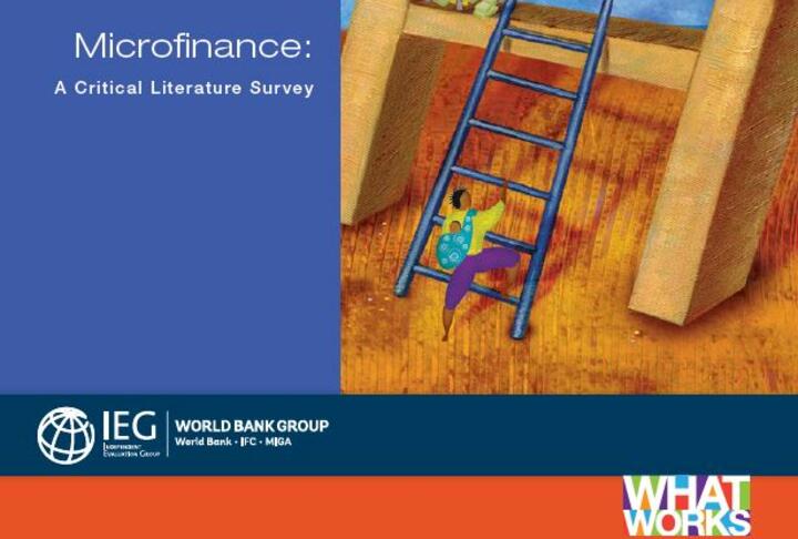 Microfinance: A Critical Literature Survey