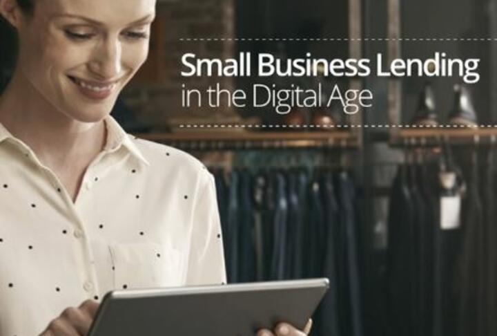 Small Business Lending in the Digital Age 