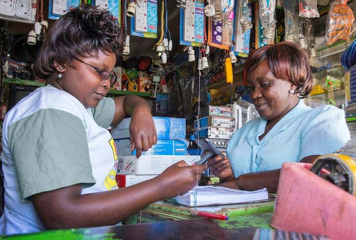 Advancing Financial Inclusion Through Small Business