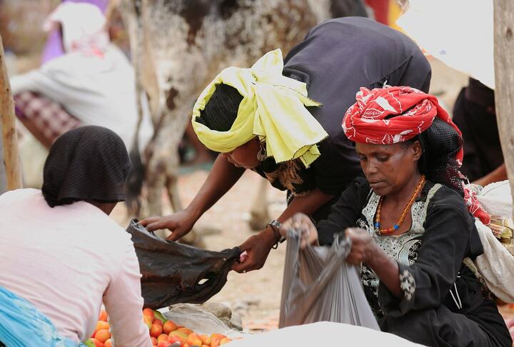 Digital Financial Inclusion in sub-Saharan Africa 