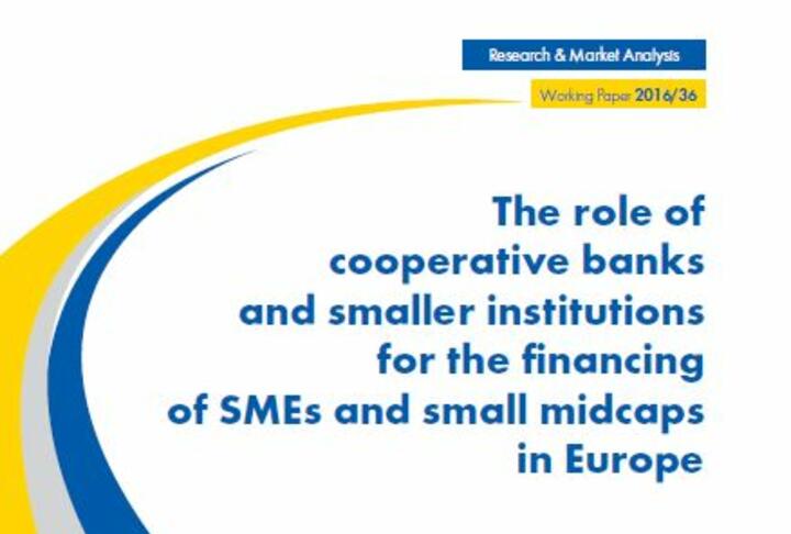 The role of cooperative banks and smaller institutions for the financing of SMEs and small midcaps in Europe