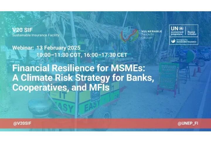 Financial Resilience for MSMEs: A Climate Risk Strategy for Banks, Cooperatives, and MFIs