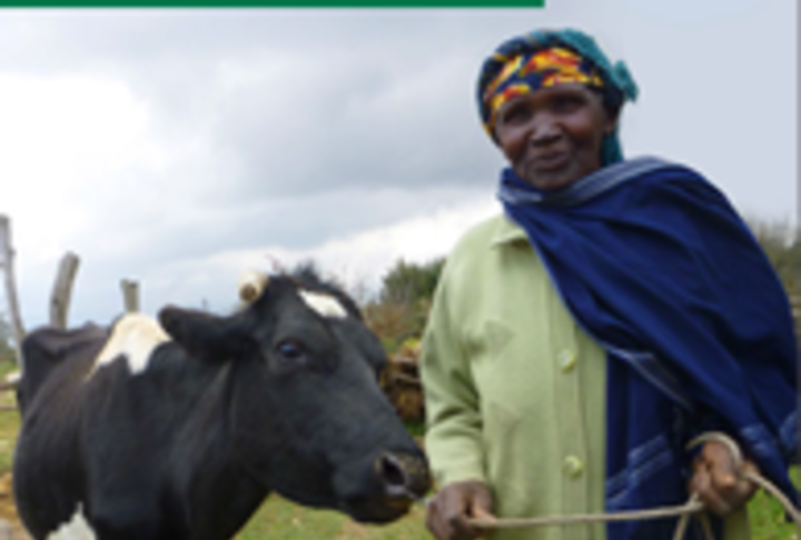 Kilimo Booster: Agricultural Loan for Kenya’s Smallholder Farmers