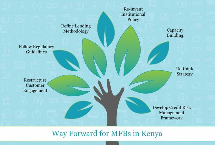 Have the Portfolio Diversification Strategies of Kenyan Microfinance Banks Failed?