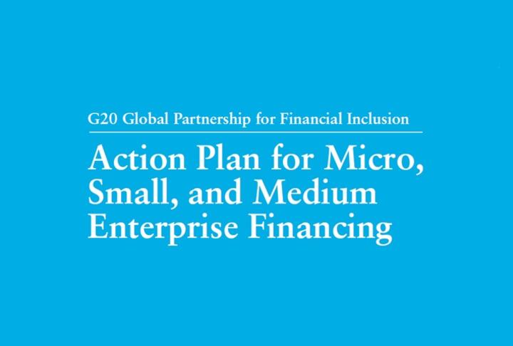 2024 GPFI MSME Finance Action Plan