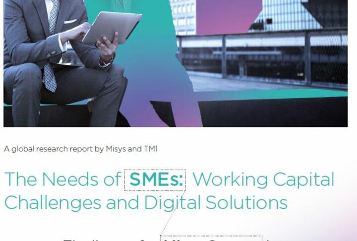 The needs of SMEs: Working Capital Challenges and Digital Solutions