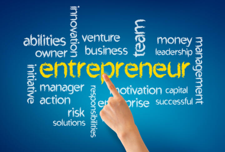 Global Entrepreneurship Monitor 2015-2016