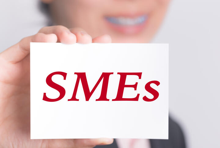 Can Startups Fill the SME Loan Gap? 