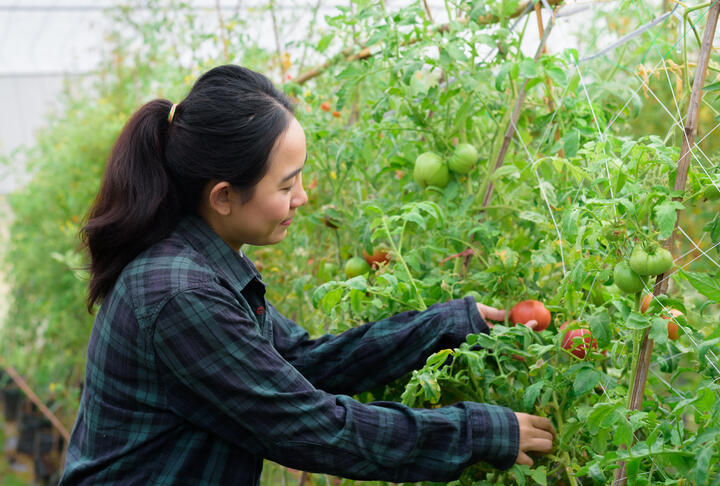 Harnessing Potential: The Asia-Pacific Alternative Finance Benchmarking Report