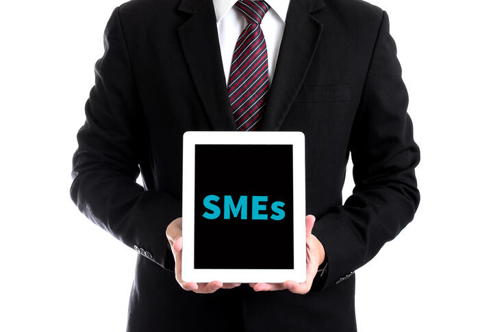 Financing Patterns of European SMEs Revisited : An Updated Empirical Taxonomy and Determinants of SME Financing Clusters