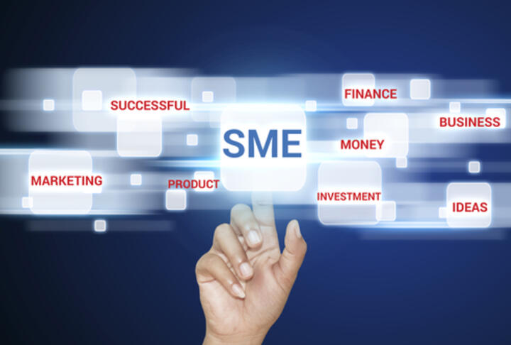 Small, Medium, Strong. Trends in SME Performance and Business Conditions